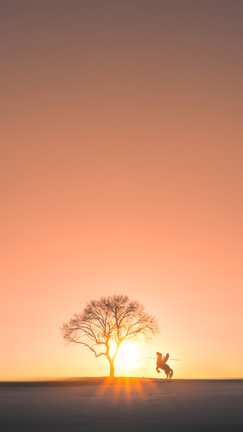 贝恩之夜，唯一的主角与无可争议的胜利