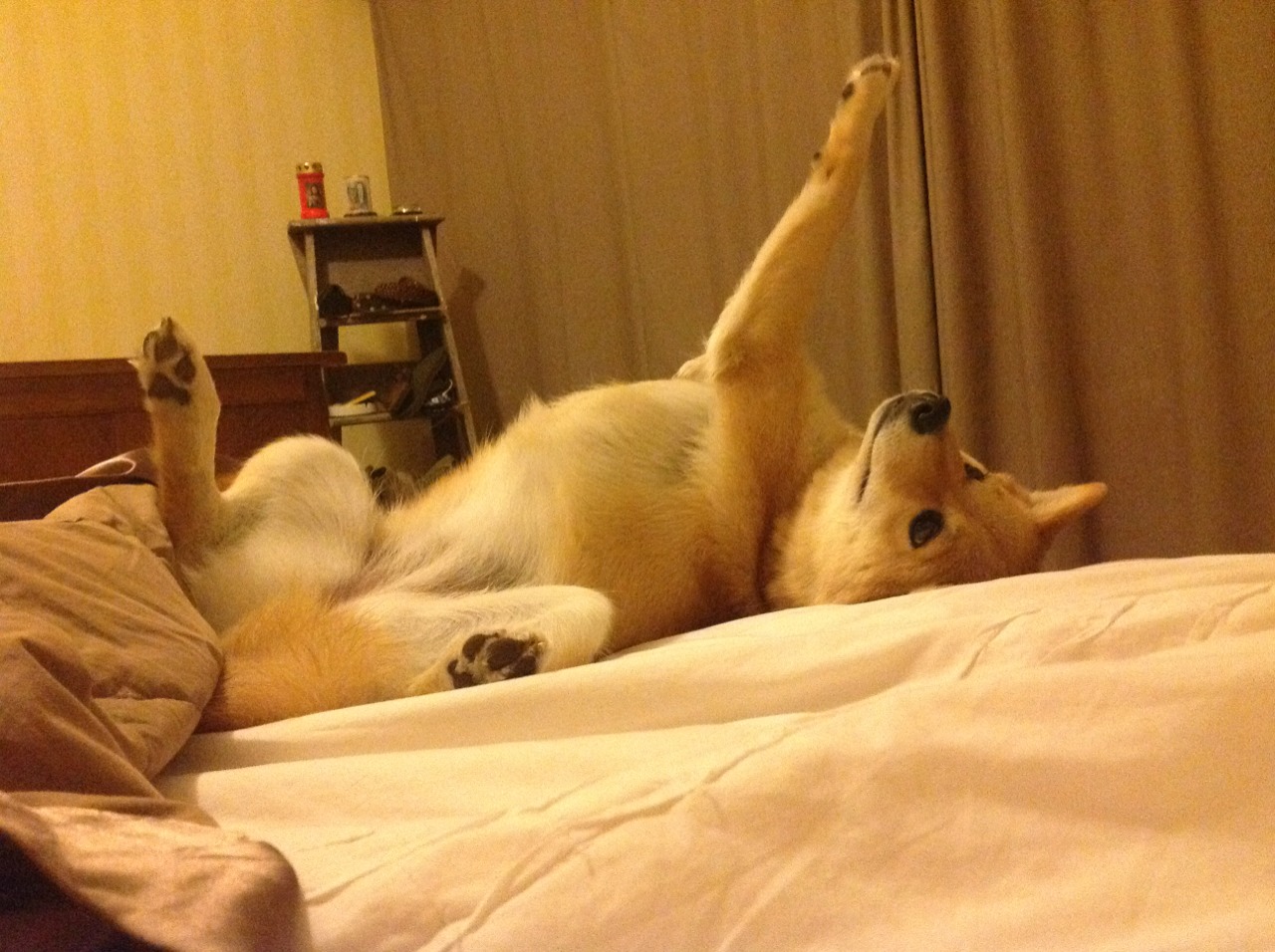 当天使与魔鬼集于一身，美加墨世界杯之夜，巴斯托尼如何用一个动作定义永恒