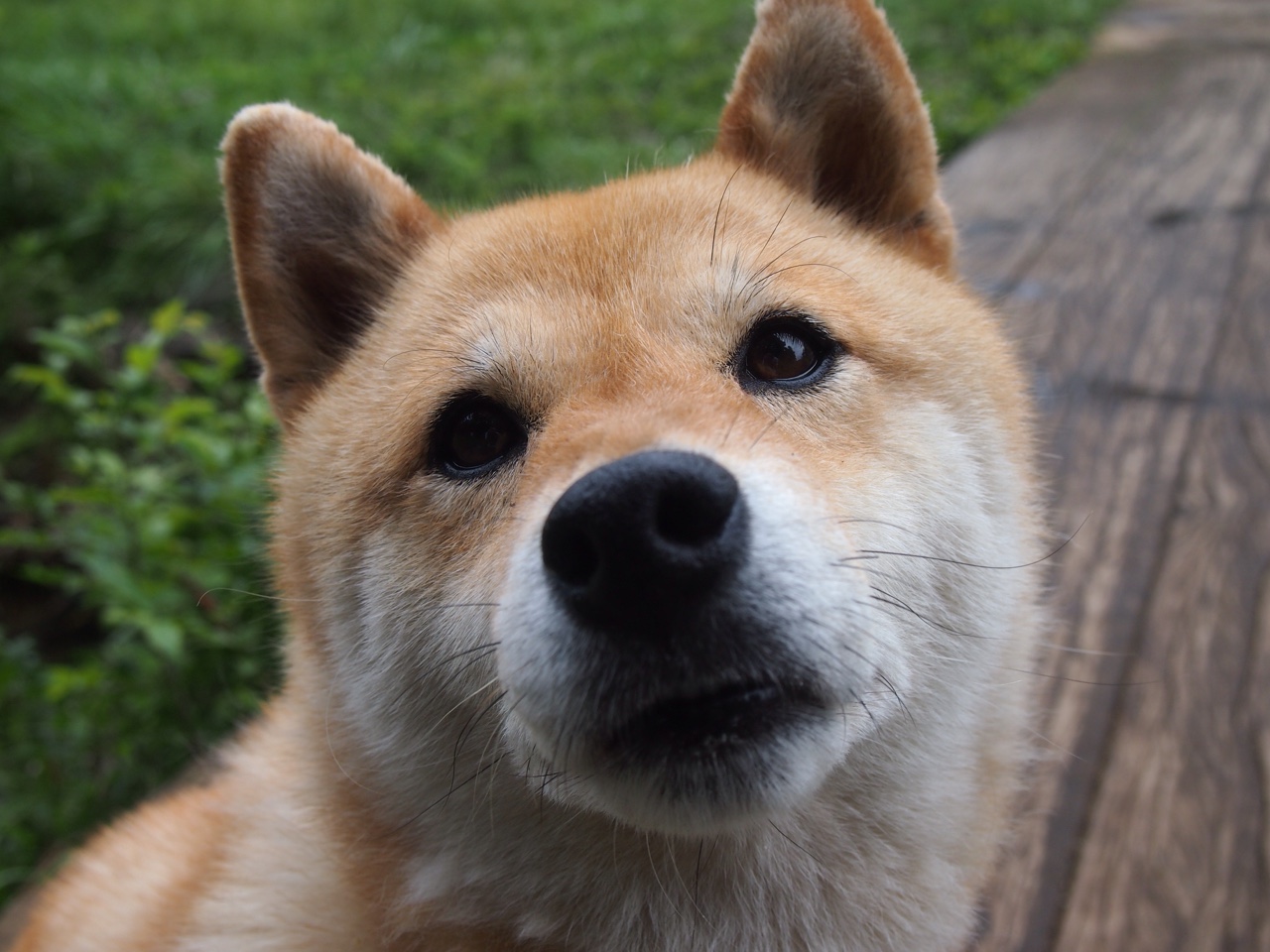 冰川与火焰间，他奏响孤胆交响曲