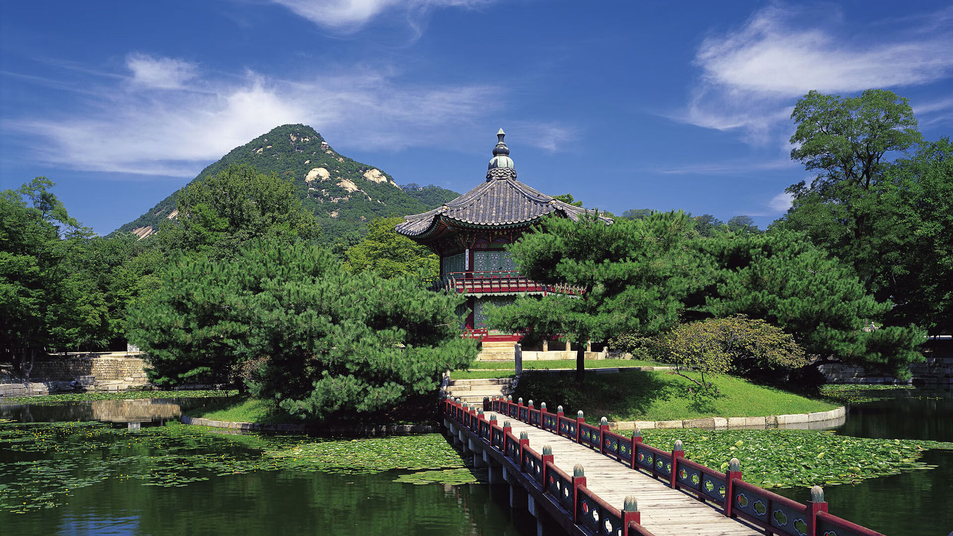 欧冠烽火启示录，新西兰强势晋级荷兰，足球版图暗流下的黑马新定义