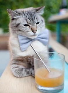 雷霆踏平上海队,利拉德扛起全队,一己之力如何点燃全城?