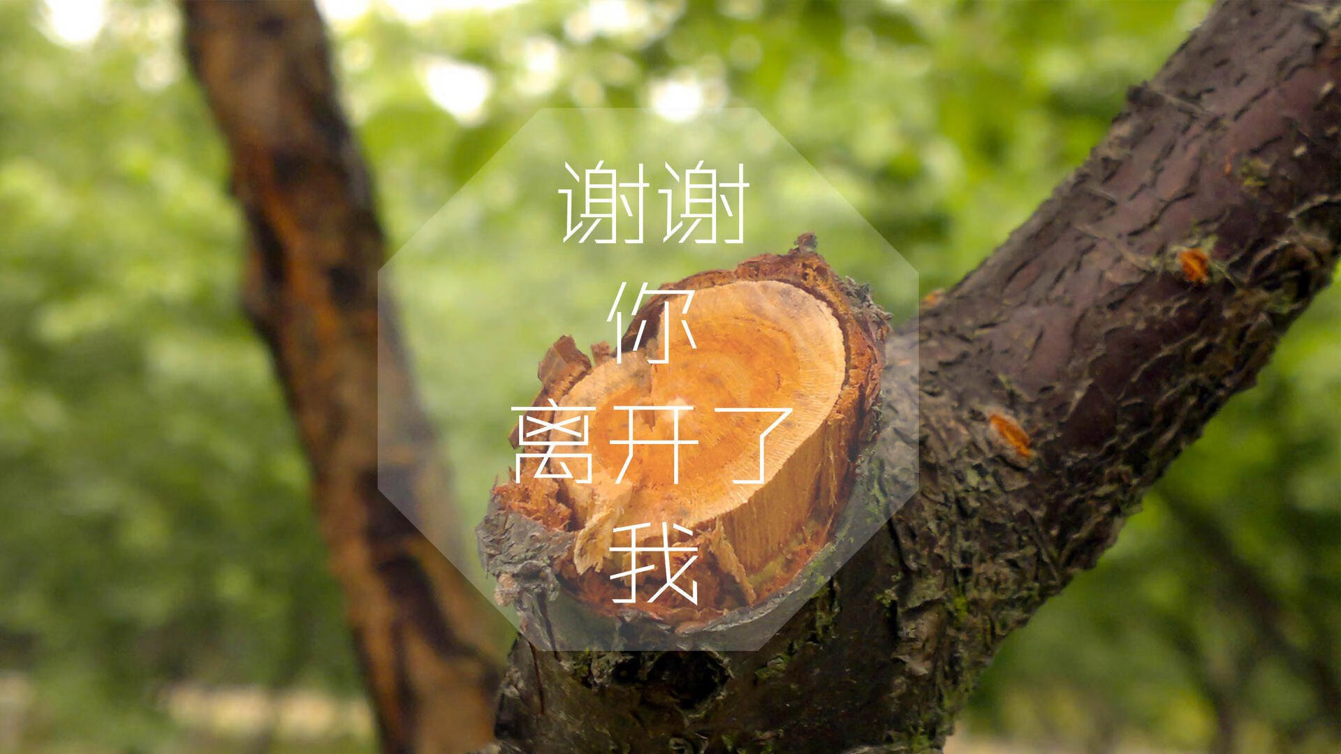巅峰对决唯此一战,孙兴慜火线封神,比利时钢铁洪流横扫秘鲁,2026世界杯见证亚洲之光的唯一王座